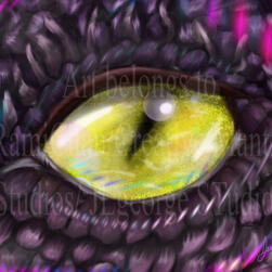 Eye Illustration